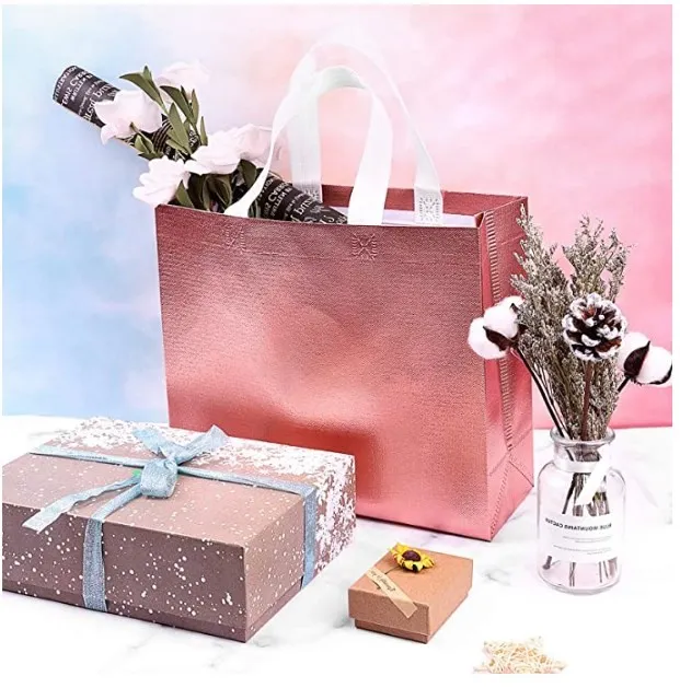Beg Non Woven